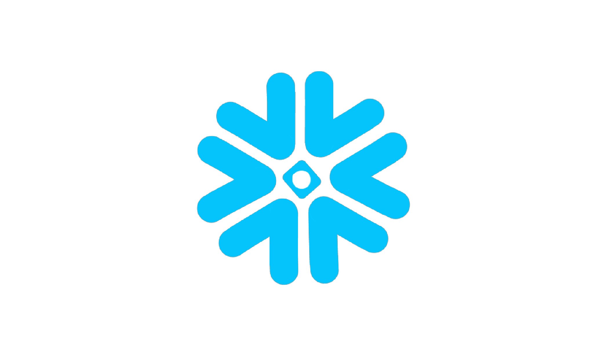 INSTANT SUPPORT partner logo